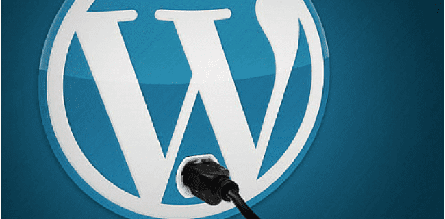 How to find a WordPress Plugin Developer