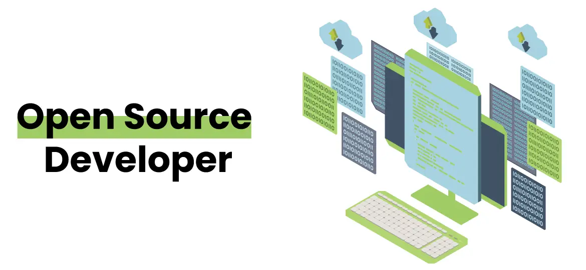 Open Source Developer