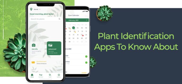Top Plant Identification Apps To Know About