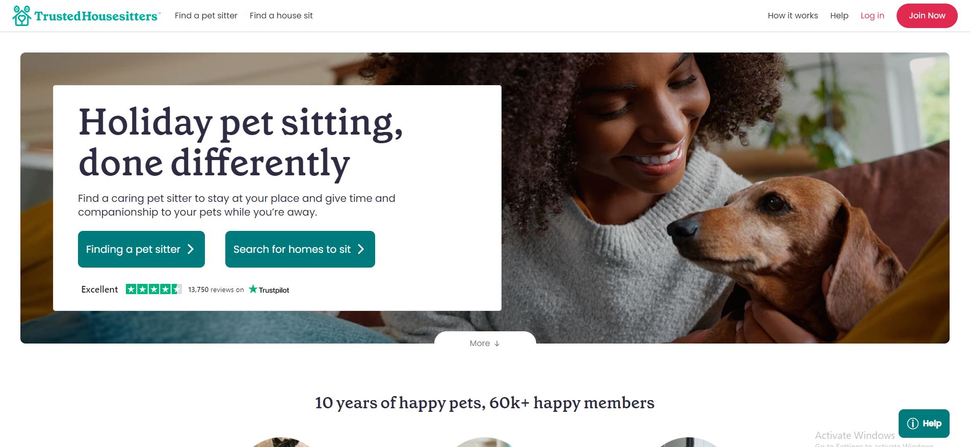 Trusted House Sitter