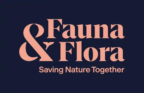 FF logo strapline glow deep.webp
