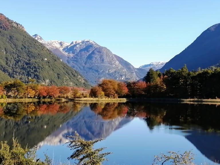 10+ Best Face Swap Apps for iPhone and Android Devices - image 10